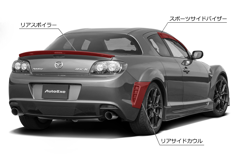 AutoExe オートエクゼ ロアアームバー(前後セット) RX-8 SE3P (MSY460 MSE440 - 100
