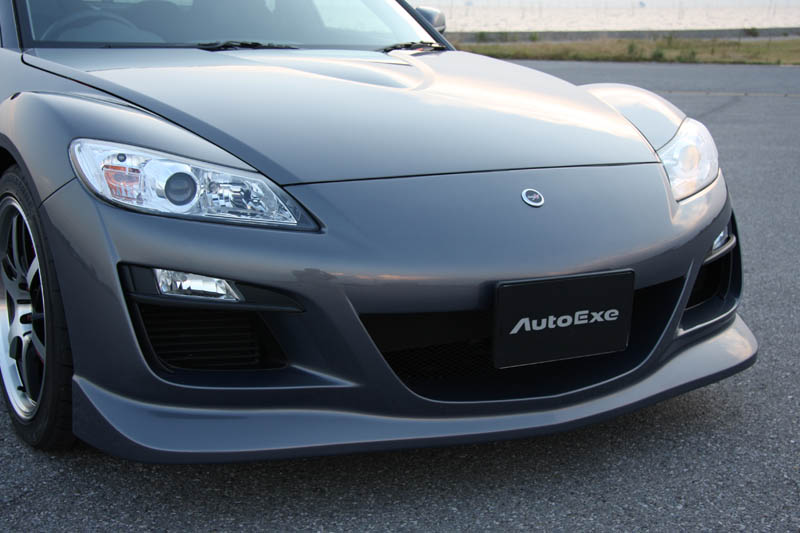 AutoExe オートエクゼ ロアアームバー(リア) RX-8 SE3P (MSE440 - 15